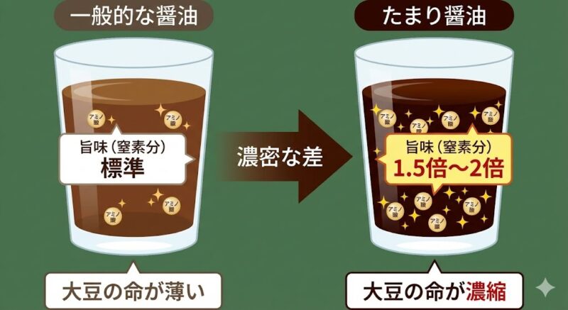 一般的な醤油とたまり醤油のアミノ酸密度（旨味成分）の差を比較したイメージ図