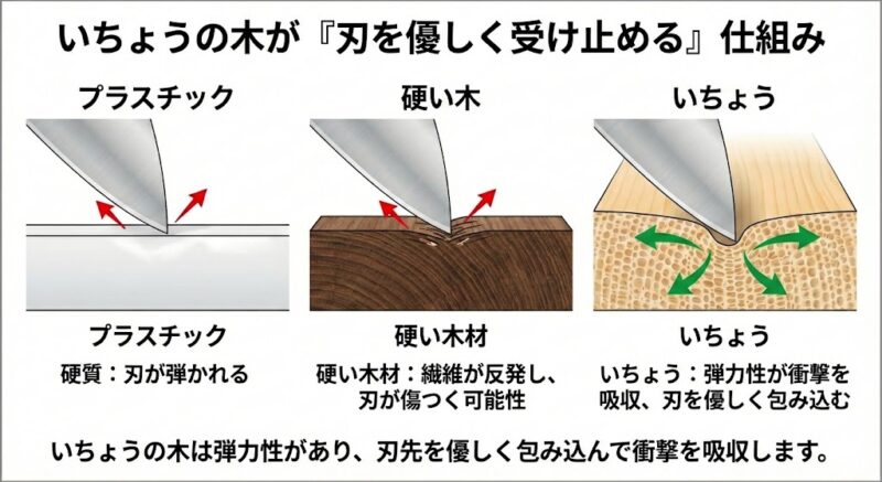プラスチックと銀杏（いちょう）のまな板の刃当たり比較図。銀杏の木は弾力が強く刃先を優しく包み込む構造の解説。