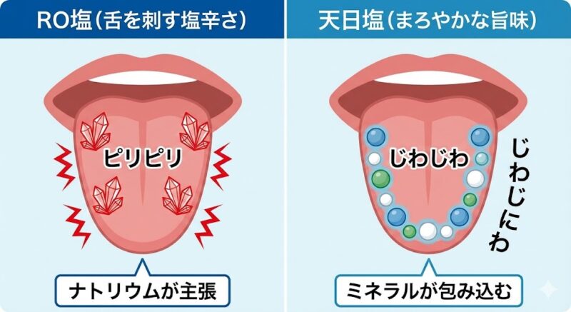 ナトリウムが直接舌を刺激するRO塩と、多様なミネラルが味をまろやかに包み込む天日塩の味覚イメージ図。
