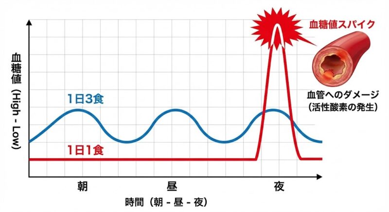 1日3食と1日1食における血糖値変動の比較グラフ。1日1食で発生する急激な血糖値上昇（スパイク）の可視化。