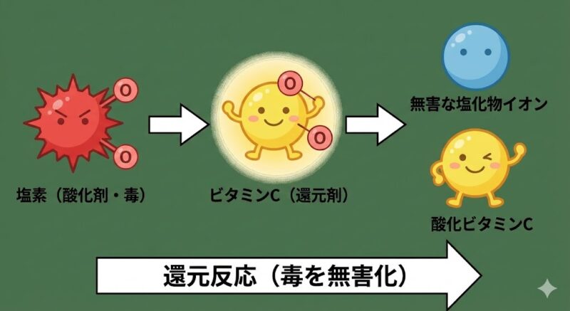 ビタミンCが塩素と反応して無害な成分へ還元されるメカニズムの模式図。