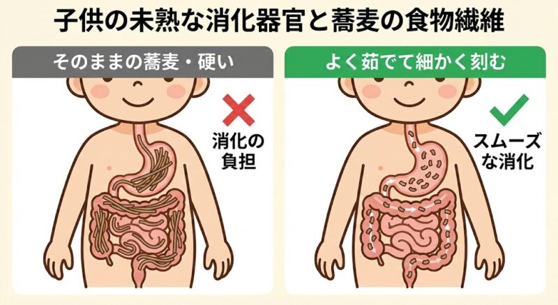 小さな子供の未熟な消化器官における、蕎麦の食物繊維の消化負担と適切な調理法（よく茹でて細かく刻む）の解説図