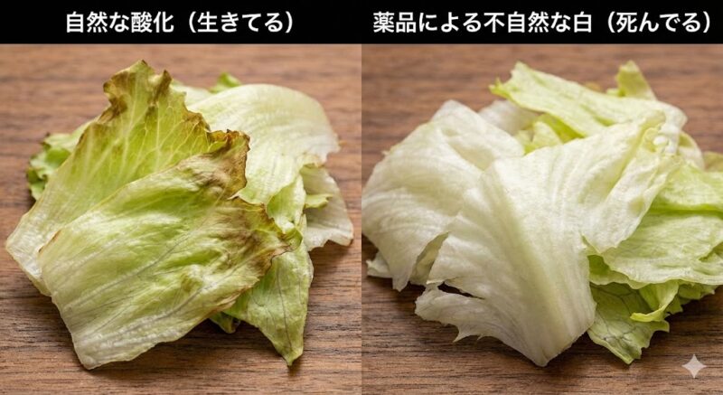 自然に酸化して変色するレタスと、薬品処理で白さを保つ不自然なカット野菜の比較写真