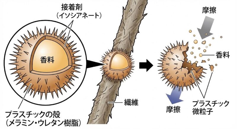 柔軟剤のマイクロカプセルの構造図。香料を包むプラスチックの殻と接着剤、それが繊維に付着し摩擦で弾ける様子を示す。
