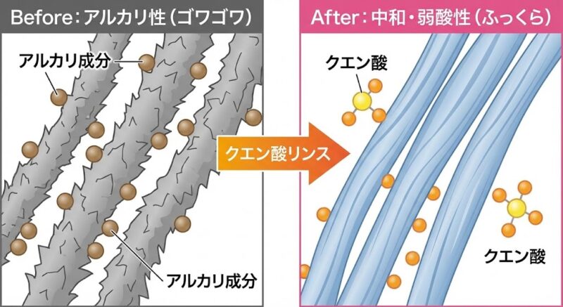 クエン酸リンスがアルカリ成分を中和し、ゴワゴワした繊維を滑らかでふっくらした弱酸性の状態に変える仕組みを示すビフォーアフター図解