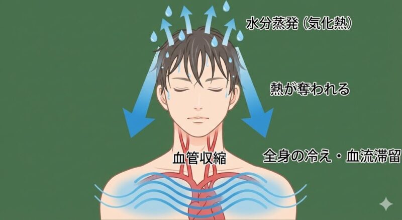 濡れた髪から水分が蒸発する際に気化熱によって頭皮から熱が奪われ、血管収縮と全身の冷え・血流滞留を引き起こすメカニズムを示す図解