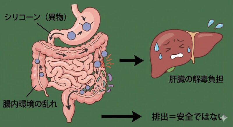 体内に入った消泡剤（シリコーンなどの異物）が腸内環境を乱し、肝臓に解毒の負担をかける様子のイメージ図。「排出＝安全ではない」ことを示す図解