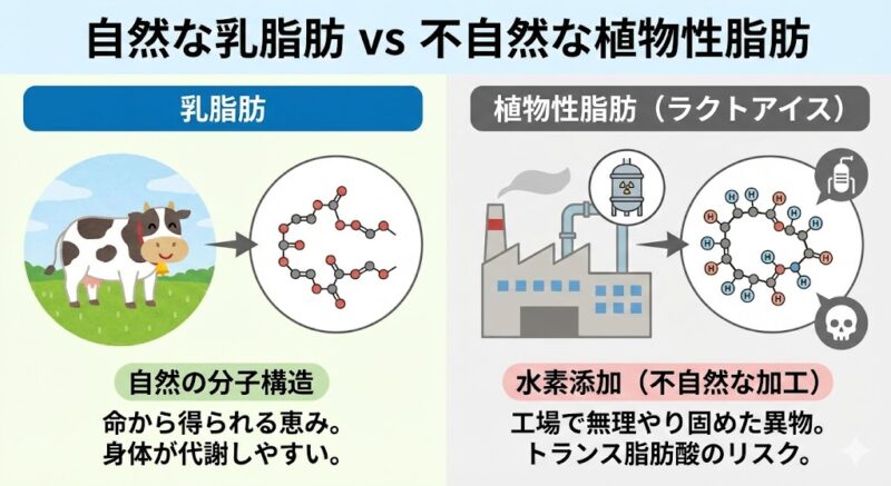 自然な乳脂肪と、水素添加により不自然に固められた植物性脂肪の構造の違いを示す比較図