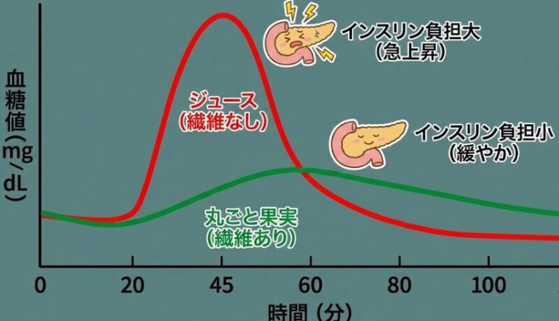 食物繊維の有無による血糖値上昇スピードの比較グラフ。ジュースは急激な血糖値上昇を招く。