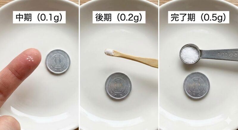 離乳食の月齢別・塩の分量の実物目安。指先(0.1g)、耳かき(0.2g)、スプーン(0.5g)に乗せた塩と1円玉の比較写真