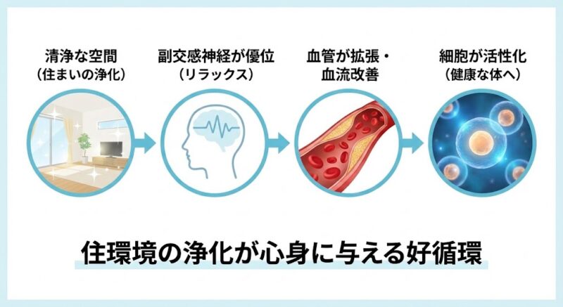 清浄な空間が副交感神経を優位にし、血流を改善して細胞を活性化させるという、住環境の浄化が心身に与える好循環を示すフローチャート図解