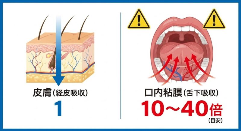 皮膚の吸収率を1とした場合の口内粘膜の吸収率の比較図。口内からの吸収がいかにダイレクトであるかを示すイラスト